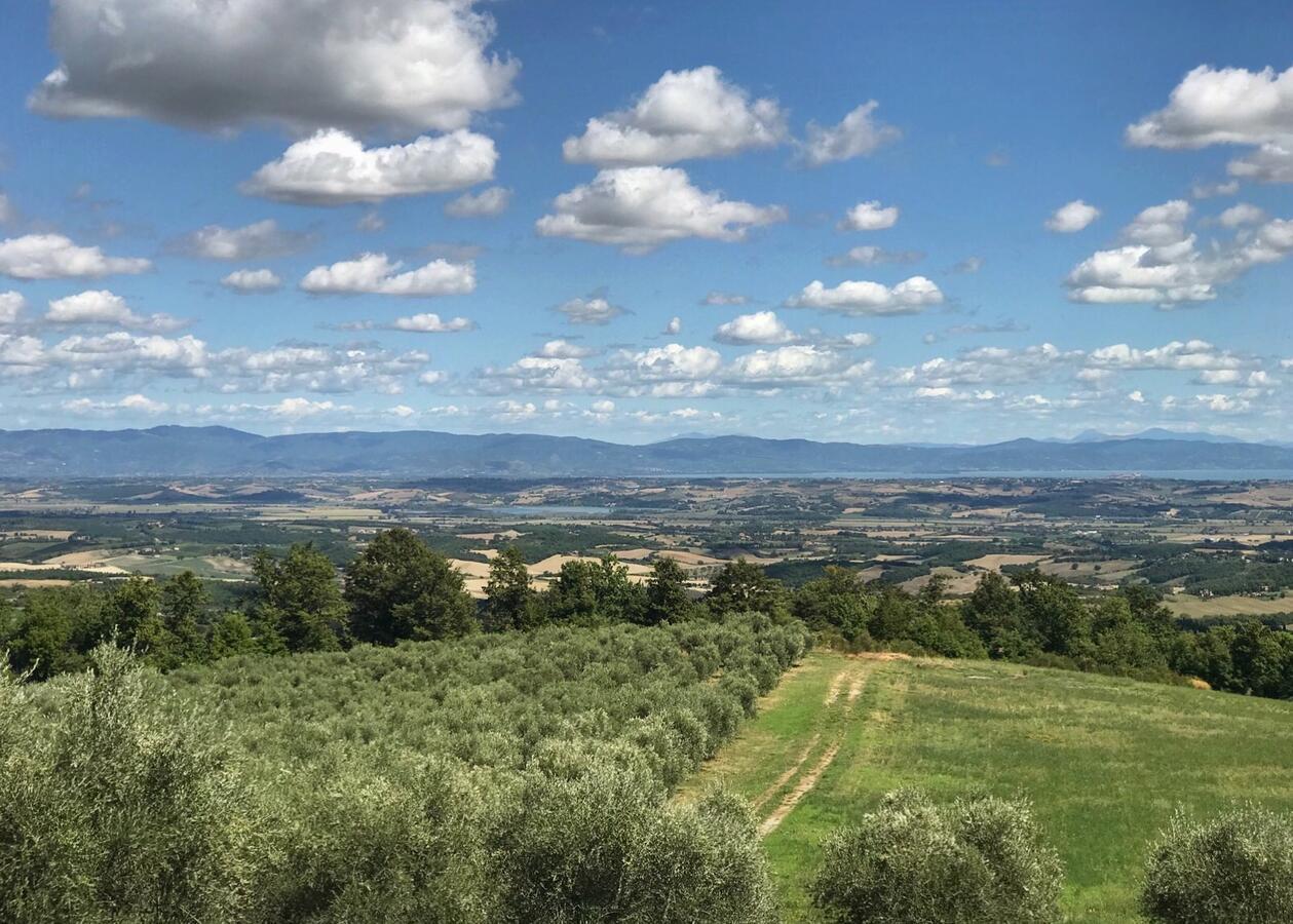 Willa Borgo Poggio Bianco Sarteano Zewnętrze zdjęcie